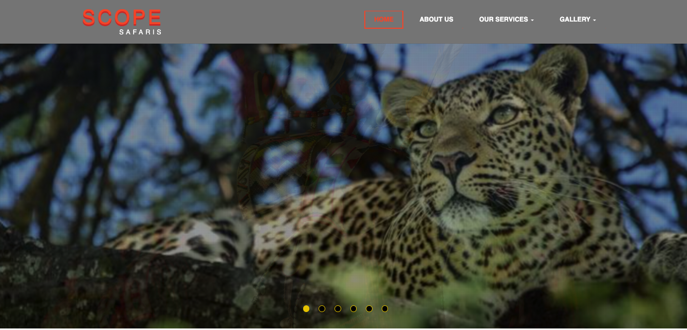 Scope Safaris